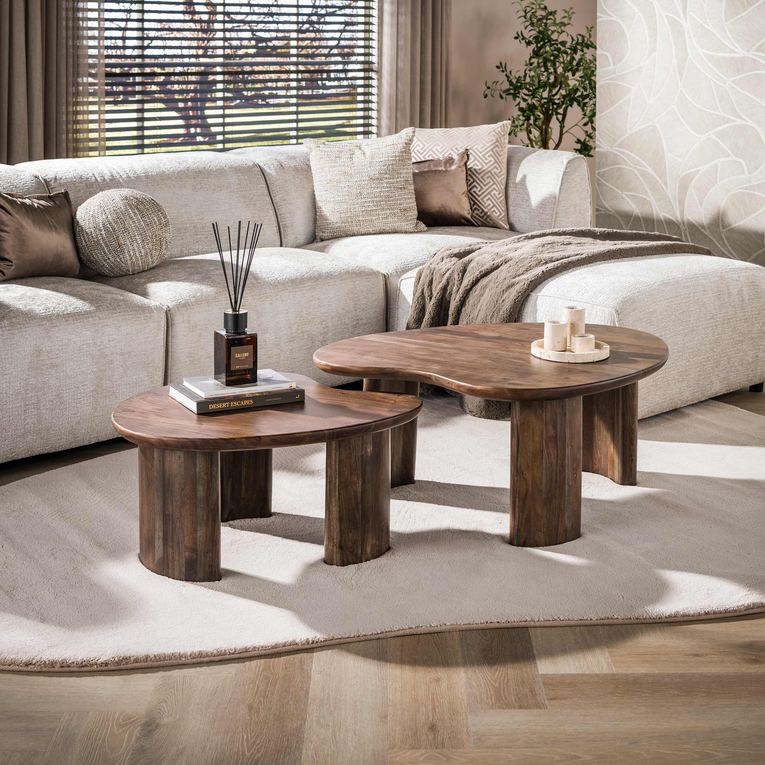 Zijlstra- Salontafel Mova set/2